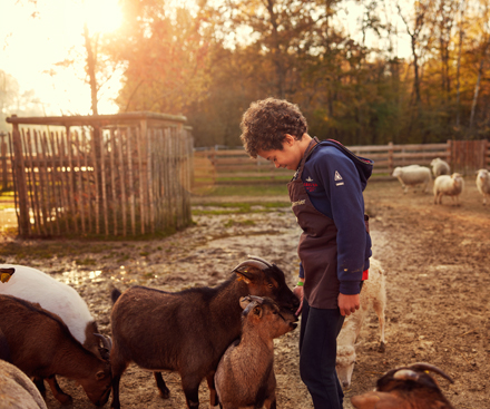 The Children's Farm